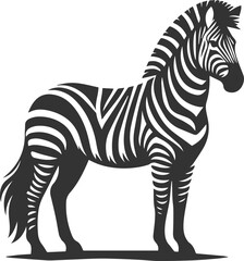 Zebra standing still and head held high animal silhouette