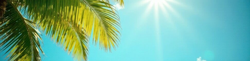Fototapeta premium Sun-drenched palm fronds, vibrant against azure sky, palm trees, nature photography