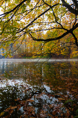 A beautiful view of a lake in the forest in autumn.