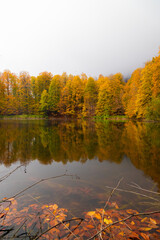 A beautiful view of a lake in the forest in autumn.