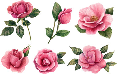 seamless pattern with roses