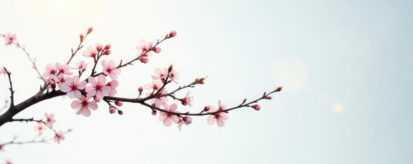 Obraz premium Delicate branches stretch towards sky on white canvas, branches, foliage