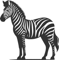 Zebra standing with ears perked up and alert animal silhouette