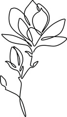 Magnolia flowers sketch elegance continuous line art drawing. 