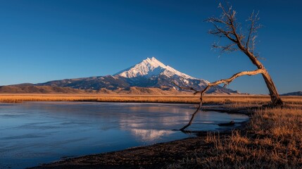 Snowy mountain peak reflected in a calm lake, with a dead tree in the foreground under a clear blue sky.