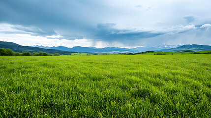 Fototapeta premium Lush Green Field Under Stormy Sky with Dramatic Lighting