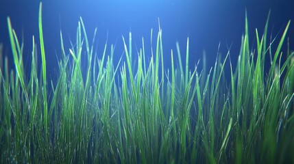 Obraz premium Lush green grass blades, close-up, daytime, nature background, website design