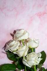 white tender roses 