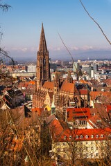 Blick auf das Münster in Freiburg