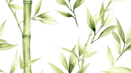 Fototapeta premium Elegant Bamboo Plant Illustration with Green Leaves on White Background for Nature and Decoration Themes