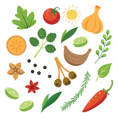 12-herbs-and-spices-white-bacground- (2).eps