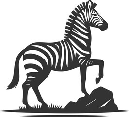Fototapeta premium Zebra standing on a small rock and one hoof raised animal silhouette
