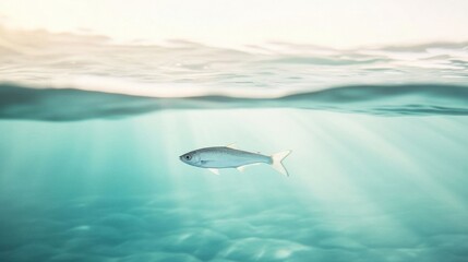 Naklejka premium A single fish swimming below water.