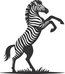 Zebra standing on hind legs rearing up animal silhouette