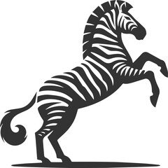 Zebra standing on hind legs rearing up animal silhouette