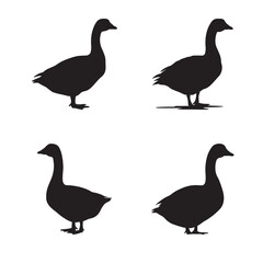 Goose Silhouette Vector PNG