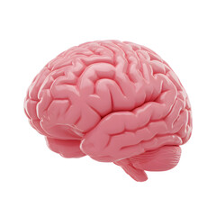 Glossy Pink Brain Model Isolated on Transparent Background
