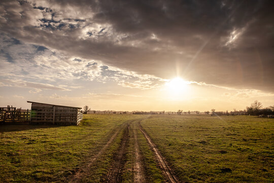 A pastoral scene in Zasavica, Vojvodina, Serbia, features stables and open fields under a soft dusk sky. The tranquil setting highlights local agriculture and the region&rsquo;s rural charm.