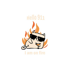 hello 911 I am on fire