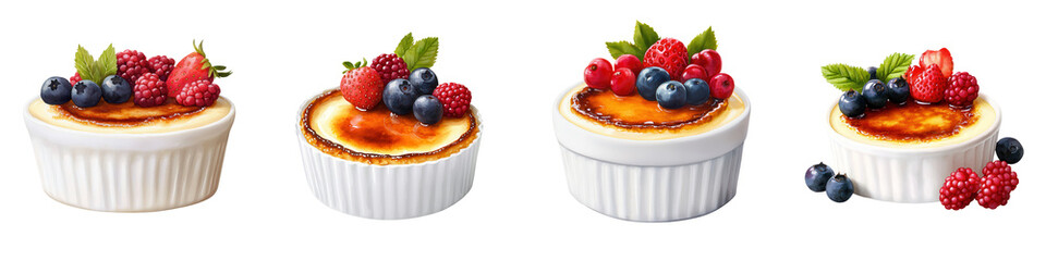 Elegant Variety of Delicious Fruit Topped Cr&egrave;me Br&ucirc;l&eacute;e Desserts