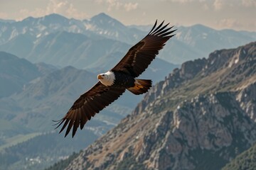Obraz premium Majestic eagle soaring in the sky, powerful and graceful flight, mountainous landscape with rocky peaks and greenery