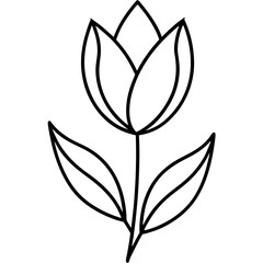 Obraz premium Tulip with-minimalist-leaf-details springtime.
