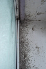 Hazardous black mold on damp wall by window frame indoors