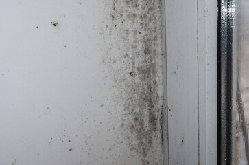 Moldy wall with black spots near window frame in humid room