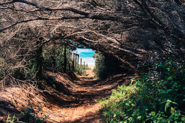secret pathway to the beach