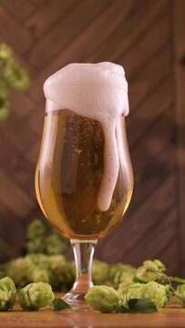 Pouring golden beer from a can into a glass, creating a thick foamy head. Bubbles rise in the refreshing craft beer, with fresh hops in the background. 