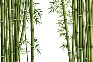 Fototapeta premium a close up of a bamboo tree with many green leaves