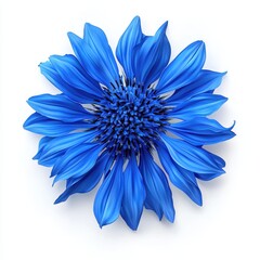 Realistic 3D Icon Cartoon of a Macro View of a Bright Blue Cornflower with Tiny Hair-Like Petals isolated on clear white background