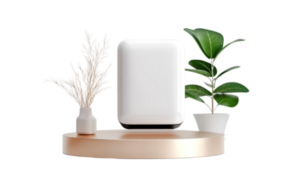 A white box with a green plant in front of it