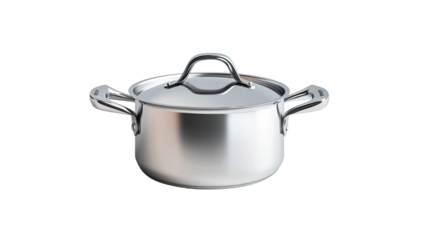 A large silver pressure cooker sits on a white background