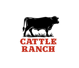 Vintage Cattle logo design. Angus Beef Logo design