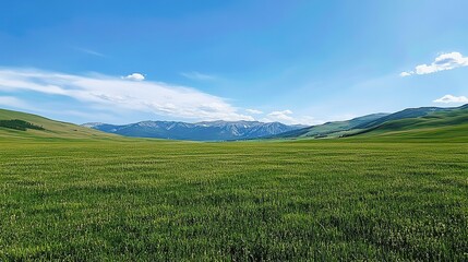 Fototapeta premium Serene Austrian Landscape with Vibrant Green Meadow and Majestic Mountains Under Clear Blue Sky, Ideal Sunny Summer Day Scenery