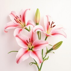 Fototapeta premium bouquet of lilies
