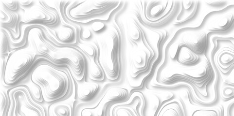 Abstract design with black and white abstract papercut and multi-layer cutout geometric pattern on vector Topographic canyon geometric map relief texture with curved layers beautiful design.	
