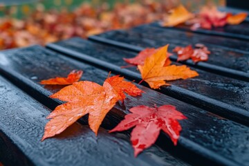 Obraz premium Red-orange autumn leaves on a damp wooden bench, highlighting seasonal mood and outdoor setting