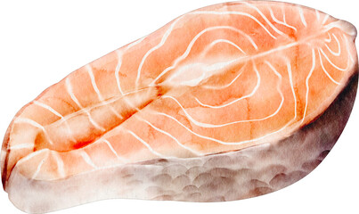 watercolor salmon