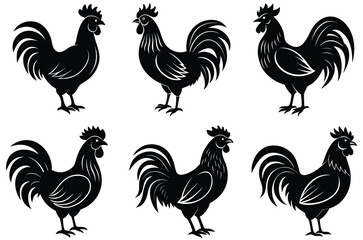 rooster and hens
