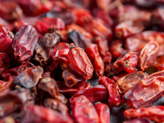 Bright barberries in the background, creating an atmosphere of freshness and natural beauty.