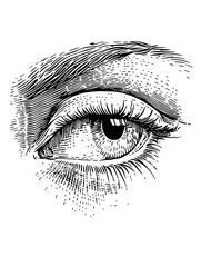 Obraz premium Intricate linocut illustration of a detailed human eye design in vector style on a transparent background