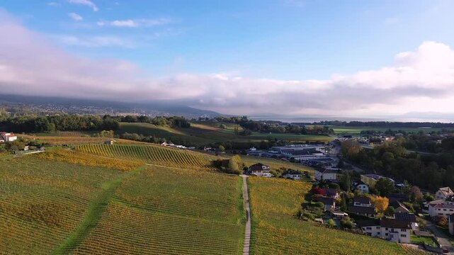 Aerial view of Swiss vineyards in spring with rolling hills, a small castle, and a vast sky. A breathtaking drone shot capturing the beauty of Switzerlands wine region. High quality FullHD footage