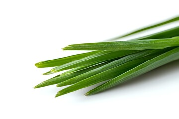 Fresh green chives isolated on white background, macro view of aromatic herb leaves showing detailed texture and natural vibrancy. Culinary ingredient.