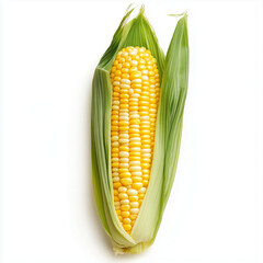 Obraz premium A whole fresh corn cob with bright yellow kernels and green husk partially peeled, isolated on a white background
