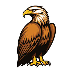 Fototapeta premium eagle on white background