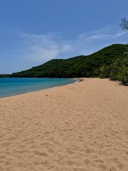 seascape of Guadeloupe in the French West Indies with a view of a sandy beach in a tropical...