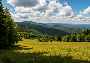 Fototapeta premium Sunny meadow gently slopes down to vibrant green hills. AI Generated