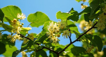 Vibrant lime blossoms bathe in sunlight. AI Generated